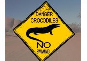 Australia Style Crocodile Road Sign