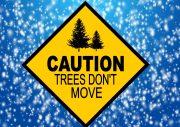 Caution Trees Don't Move Skiing Sign