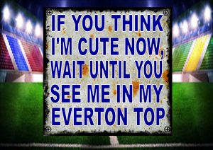 Cute Everton Top