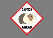GUINEA PIG SIGN