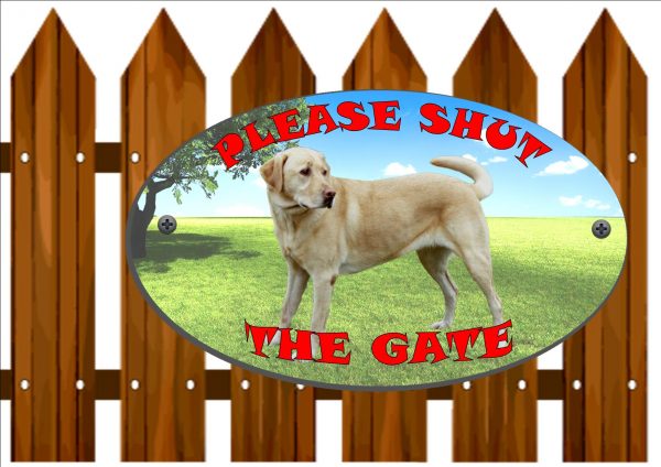 Golden Labrador Shut The Gate