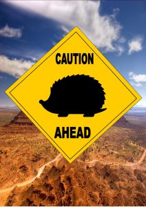 Caution Hedgehog Ahead Sign