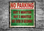 No Parking Novelty Sign