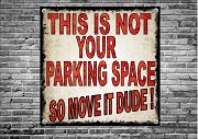 No Parking Novelty Sign