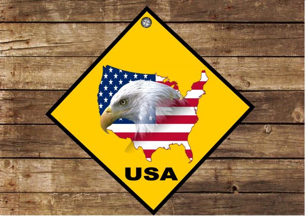 USA Hanging Sign