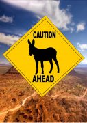 Caution Donkey Ahead Sign