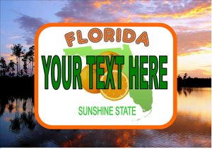 Florida Number Plate/Licence Plate